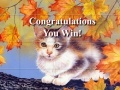 게임 Art Kittens Puzzles 2