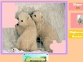 게임 Twin Polar Bear