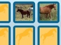 게임 Memory with horses
