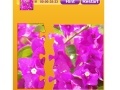 게임 Bougainvillea Jigsaw
