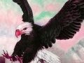 게임 Wild acrobat eagle puzzle