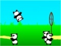 게임 Panda Bounce