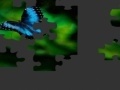 게임 Butterfly Puzzle