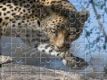 게임 Leopard Jigsaw Puzzle