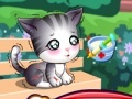 게임 Doc Mcstuffins: stray kitten caring