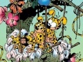 게임 Marsupilami Finding Numbers