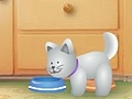 게임 Net Pet