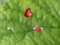 게임 Hidden Nature Hearts
