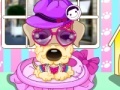 게임 Pampered Dog Salon