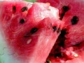 게임 Watermelon