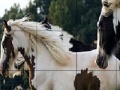 게임 Cute spotted horses slide puzzle