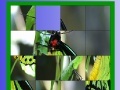 게임 Green butterfly slide puzzle