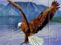 게임 Eagle