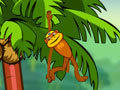 게임 Spider Monkey