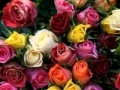 게임 Valentines Day