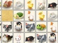 게임 Ranch Connect 2