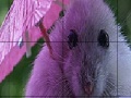 게임 Umbrella and mouse slide puzzle