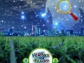 게임 Hidden Stars Night Beauty