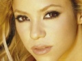 게임 Image Disorder: Shakira