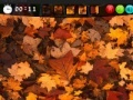 게임 Autumn Hidden Images