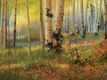 게임 Hidden coins in the forest