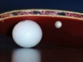 게임 PingPong
