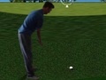 게임 Flash Golf 3D