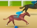게임 Jockey Star