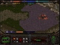 게임 Starcraft Flash Action 5