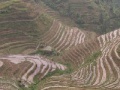 게임 Rice Terrace Slider