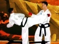 게임 Tae Kwon-Do Competition