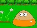 게임 Puzzle Pou in Garden
