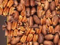 게임 Pecan Mosaic Jigsaw