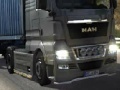 게임 Euro truck difference