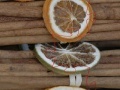 게임 citrus