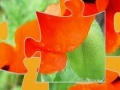 게임 Oriental Poppy Jigsaw