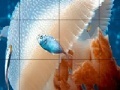 게임 Mosaic jellyfish slide puzzle