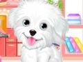 게임 Fluffy puppy pet: Spa and care