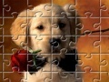 게임 Puzzles Little Puppy