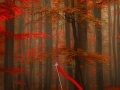 게임 Hidden Target Red Forest
