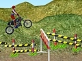 게임 Motorcycle Rally