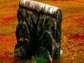 게임 Fall graveyard escape