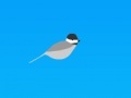 게임 Trampoline chickadee