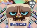 게임 Grumpy cat. Dental care