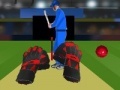 게임 Cricket tap catch