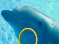 게임 Dolphin Tale 2 Hidden Alphabets