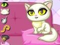 게임 Purrfect Kitten