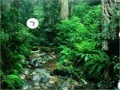 게임 Escape from Amazon Forest