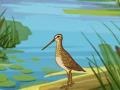 게임 Dinosaur Train: Backyards Theropods 