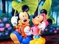 게임 Mickey Love-HS